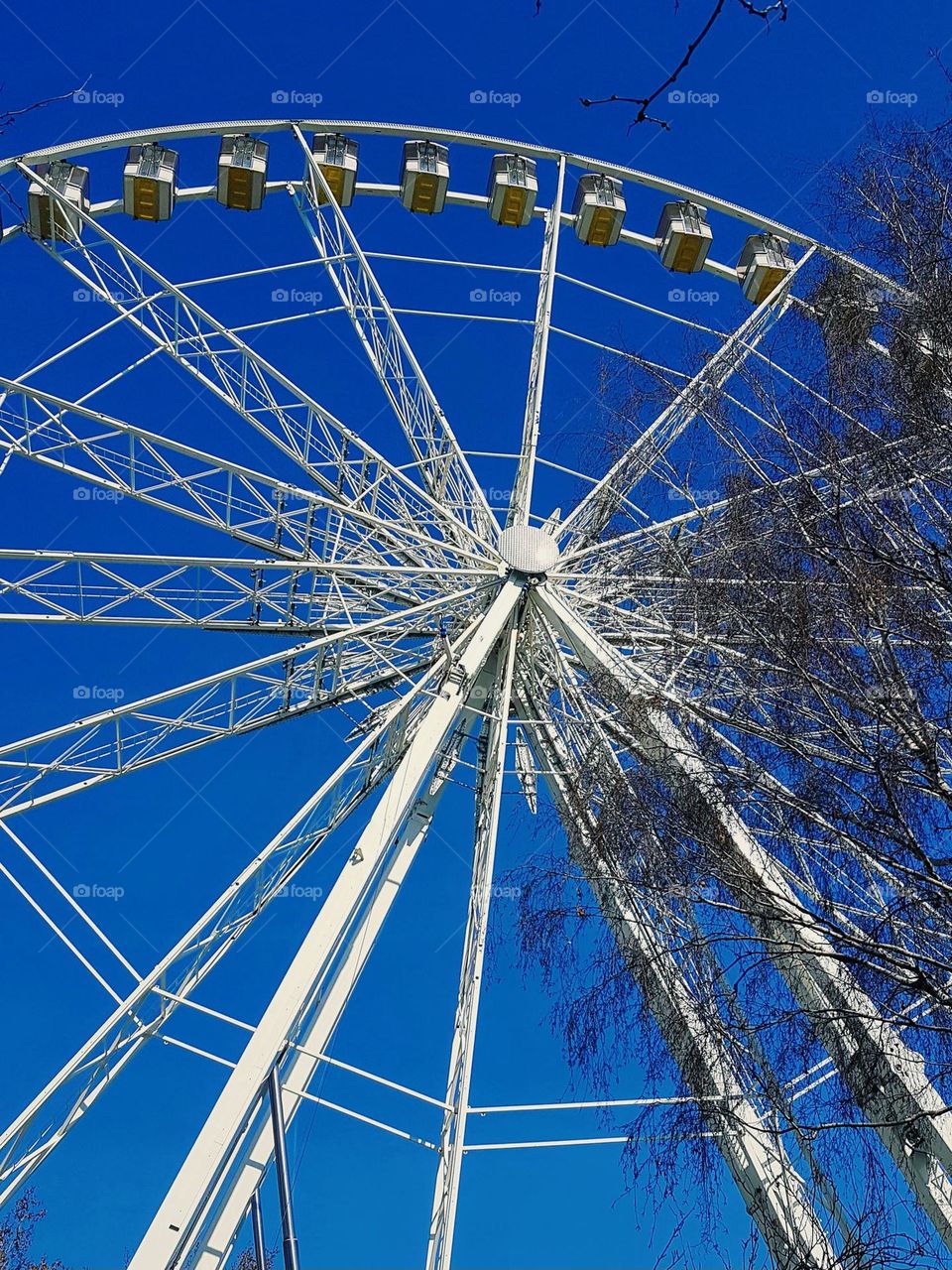 Budapest Eye