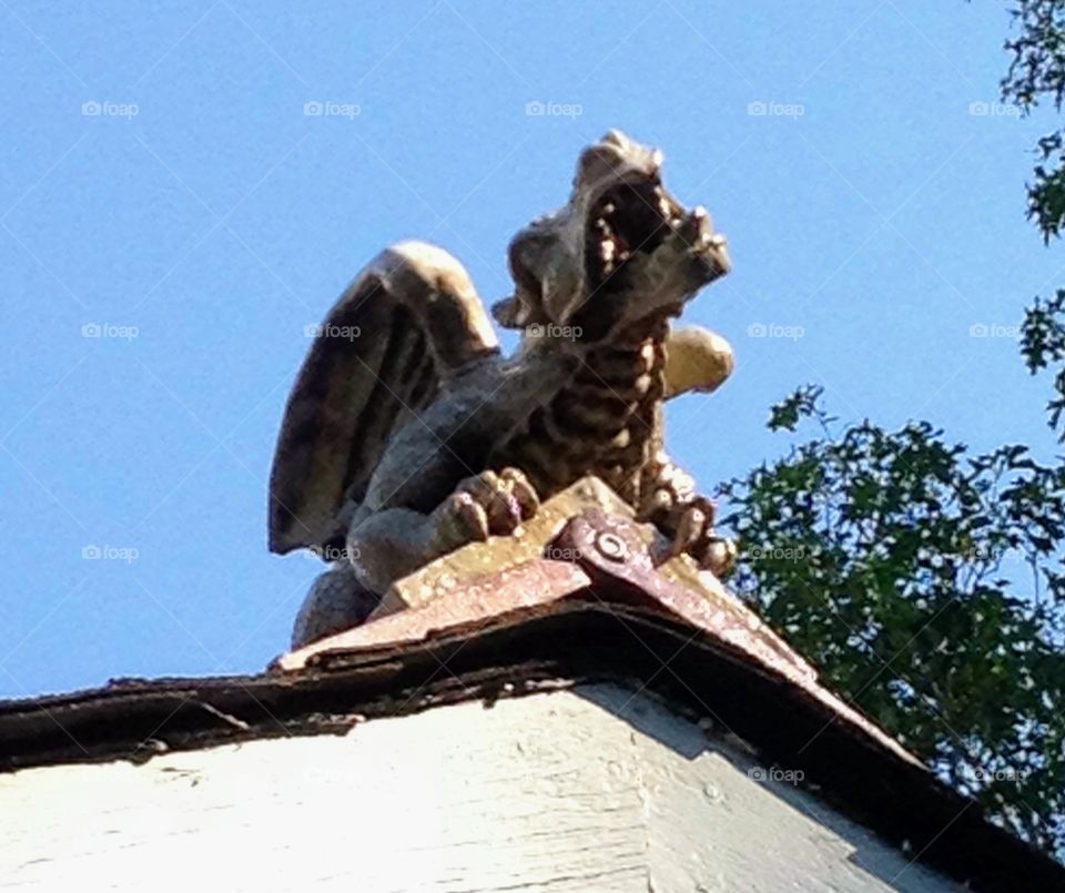 Dragon Gargoyle mounted on peak of building. It has wings, claws & growling up at blue sky.