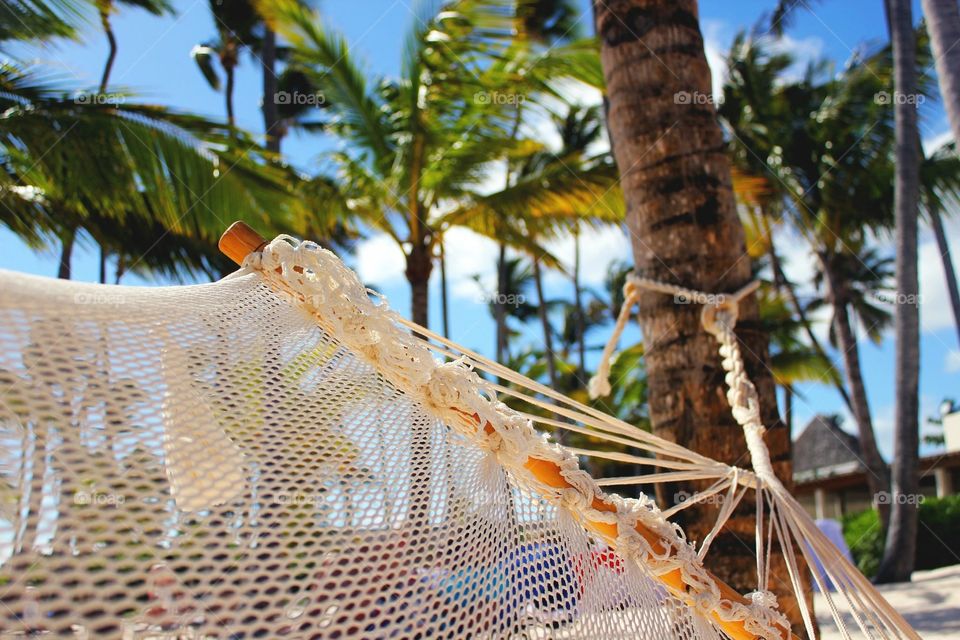 View from laying on hammock  in tropical setting
