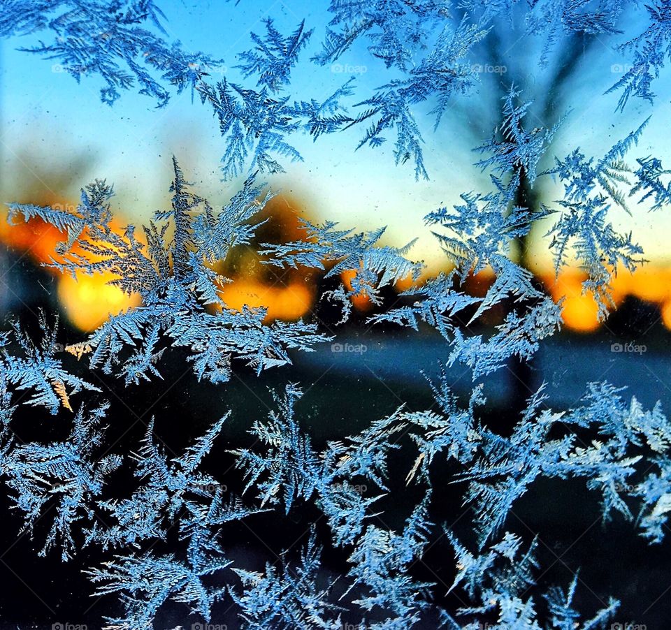 Frost formations on car window