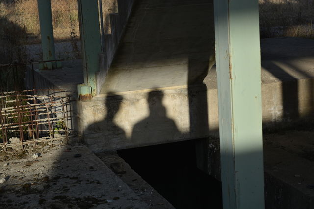 Friendship in the shadows