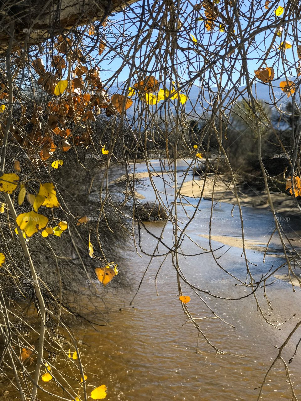 Fall Nature Landscape 