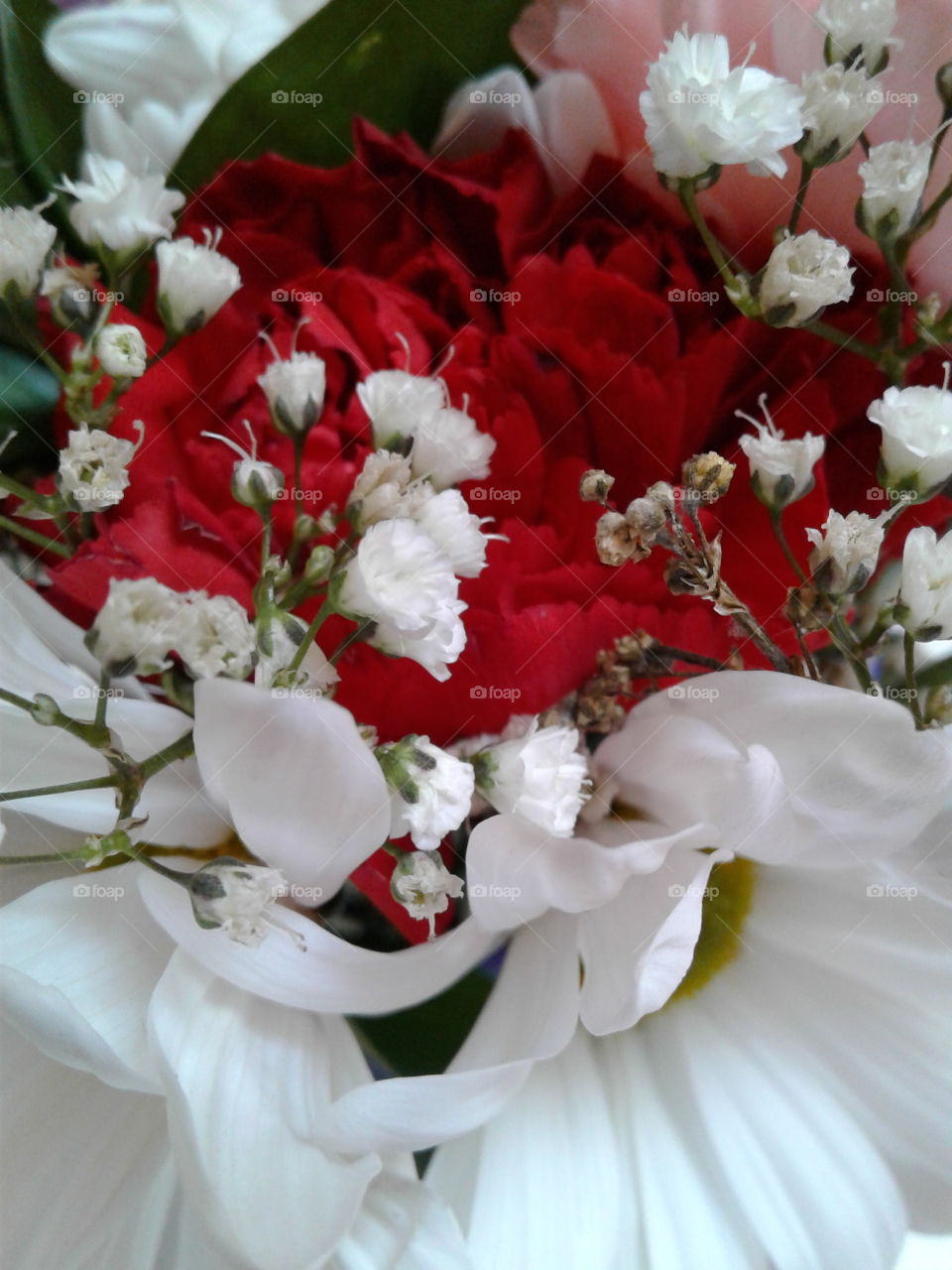 flower bouquet close-up
