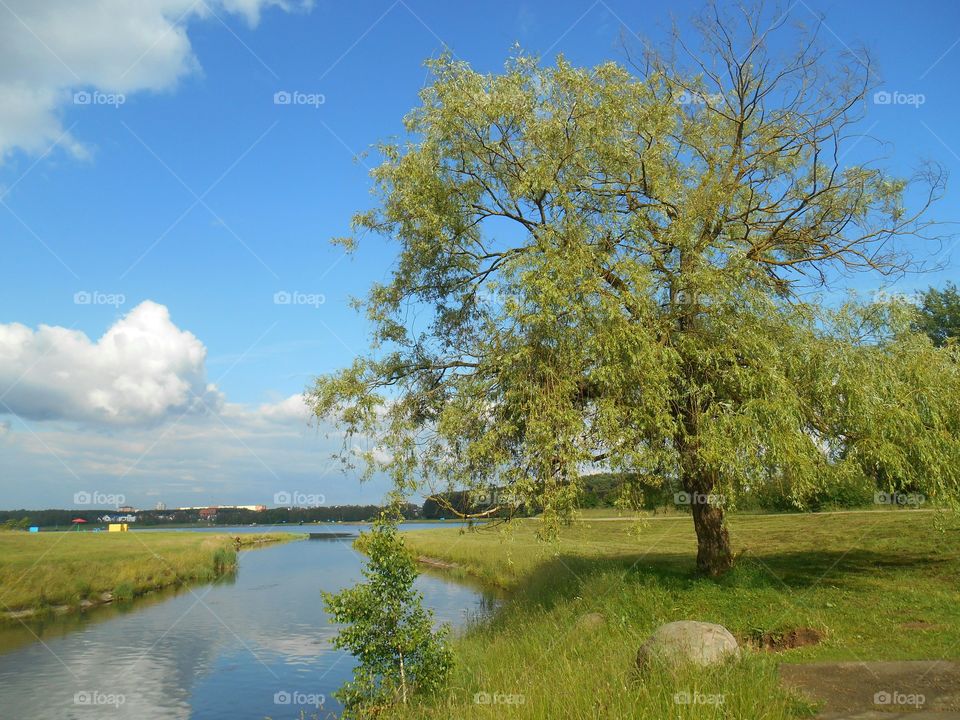 lake summer landscape