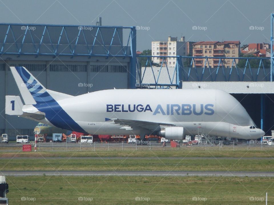 Beluga airplane at Toulouse