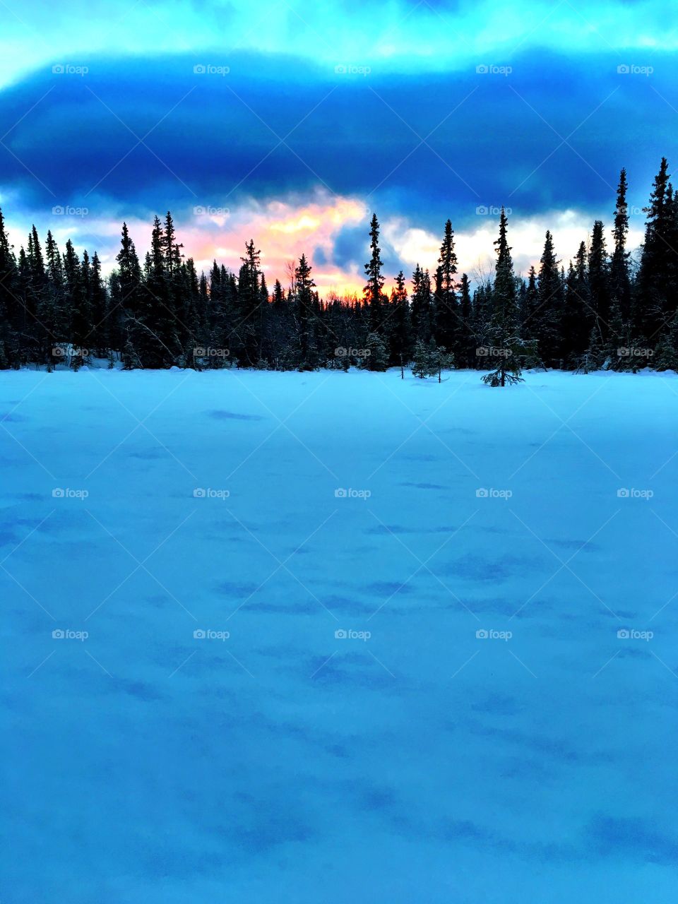 Sunset in snowy landscape 