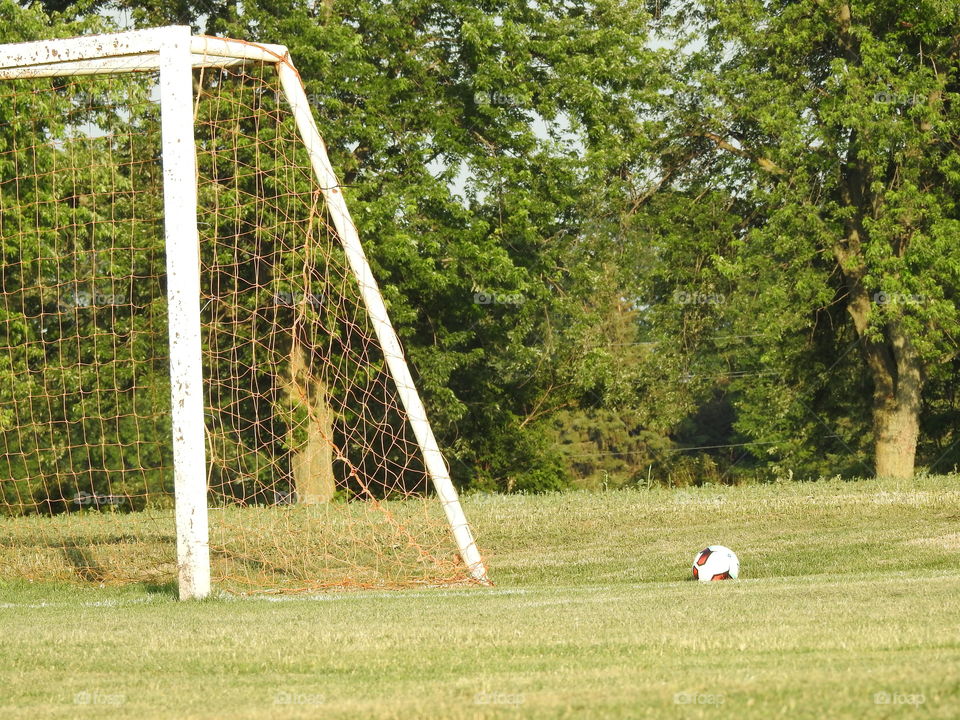a soccer ball and a net