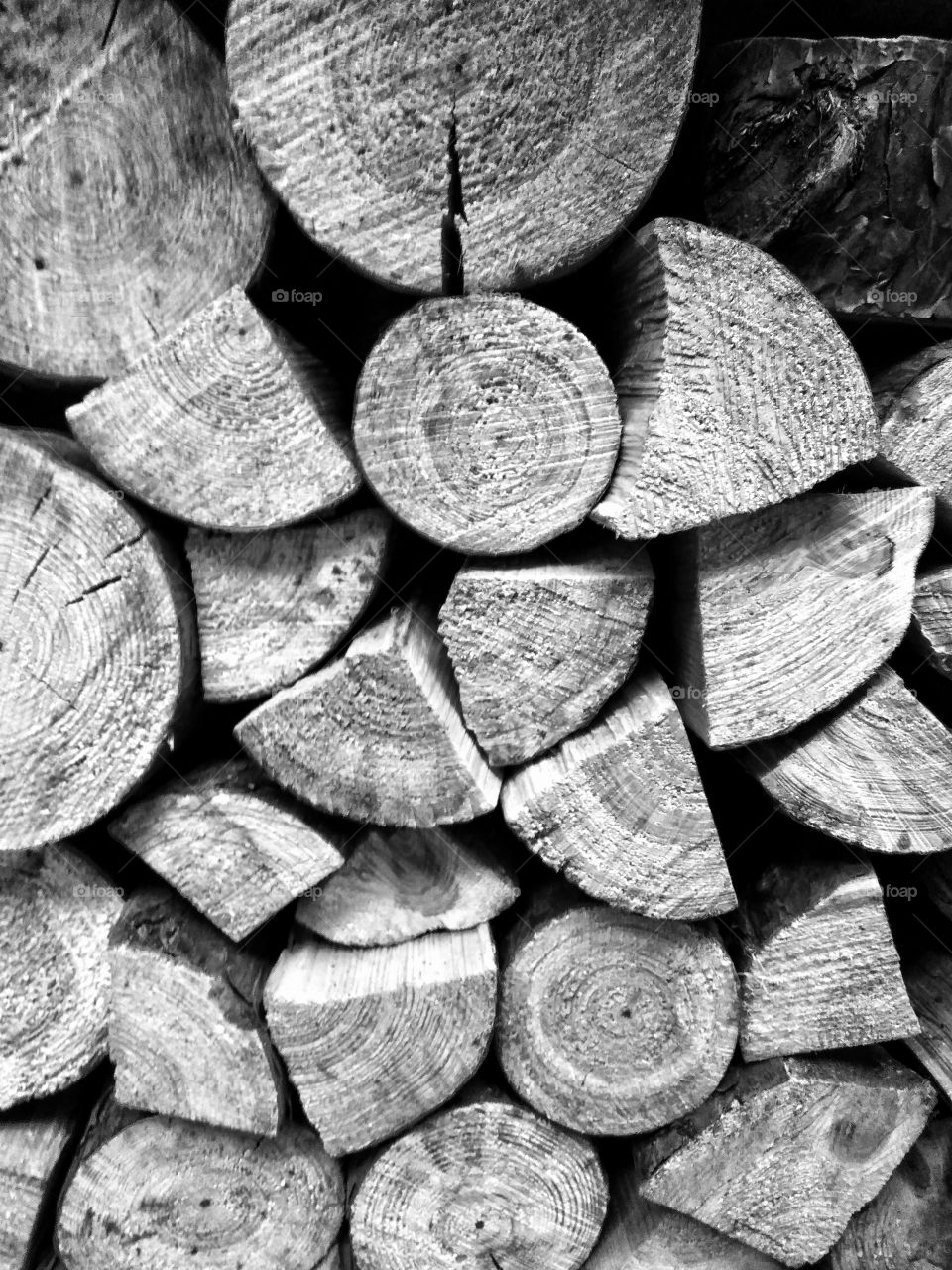 Firewood