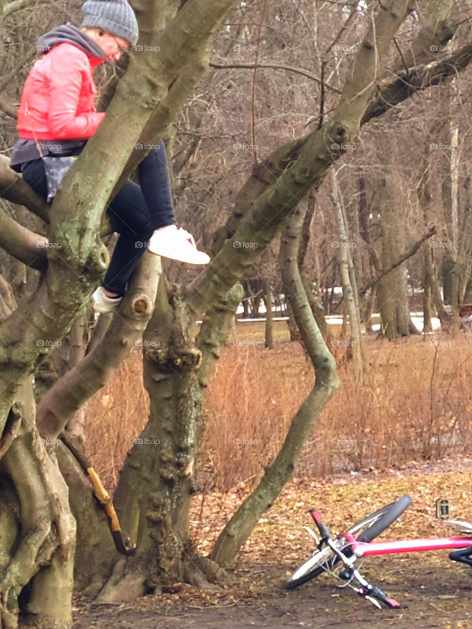Cyclist rest.  A man is sitting in a tree.  A bicycle is lying near the tree