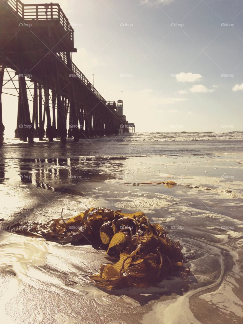 beach ocean water waves by ninjacentral