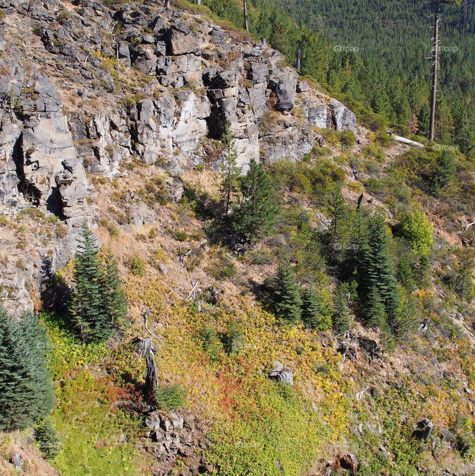 The beautiful shear rock cliffs on a tree covered hill on a sunny fall day in Central Oregon at Tumalo Falls. 