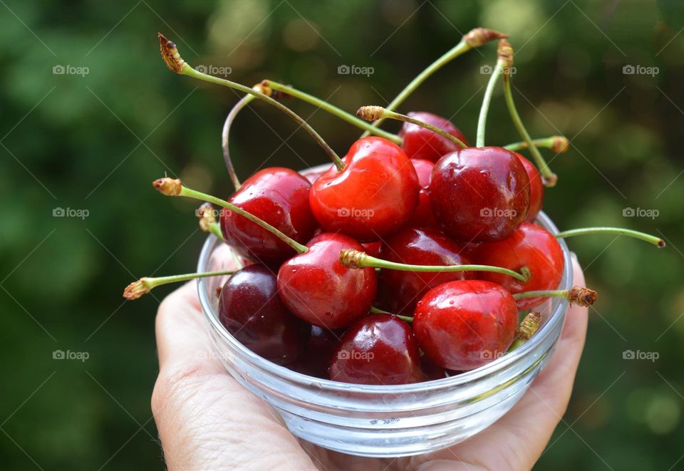 red cherry on a plate in the hand green background, tasty summer food, love summer ♥️