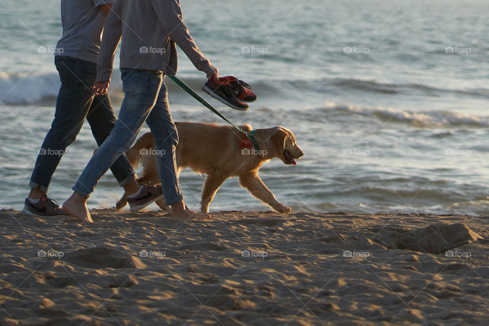 Evening walk