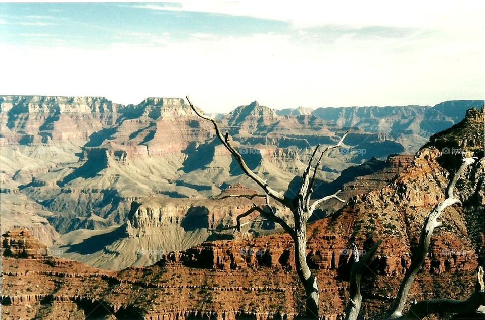 grand canyon