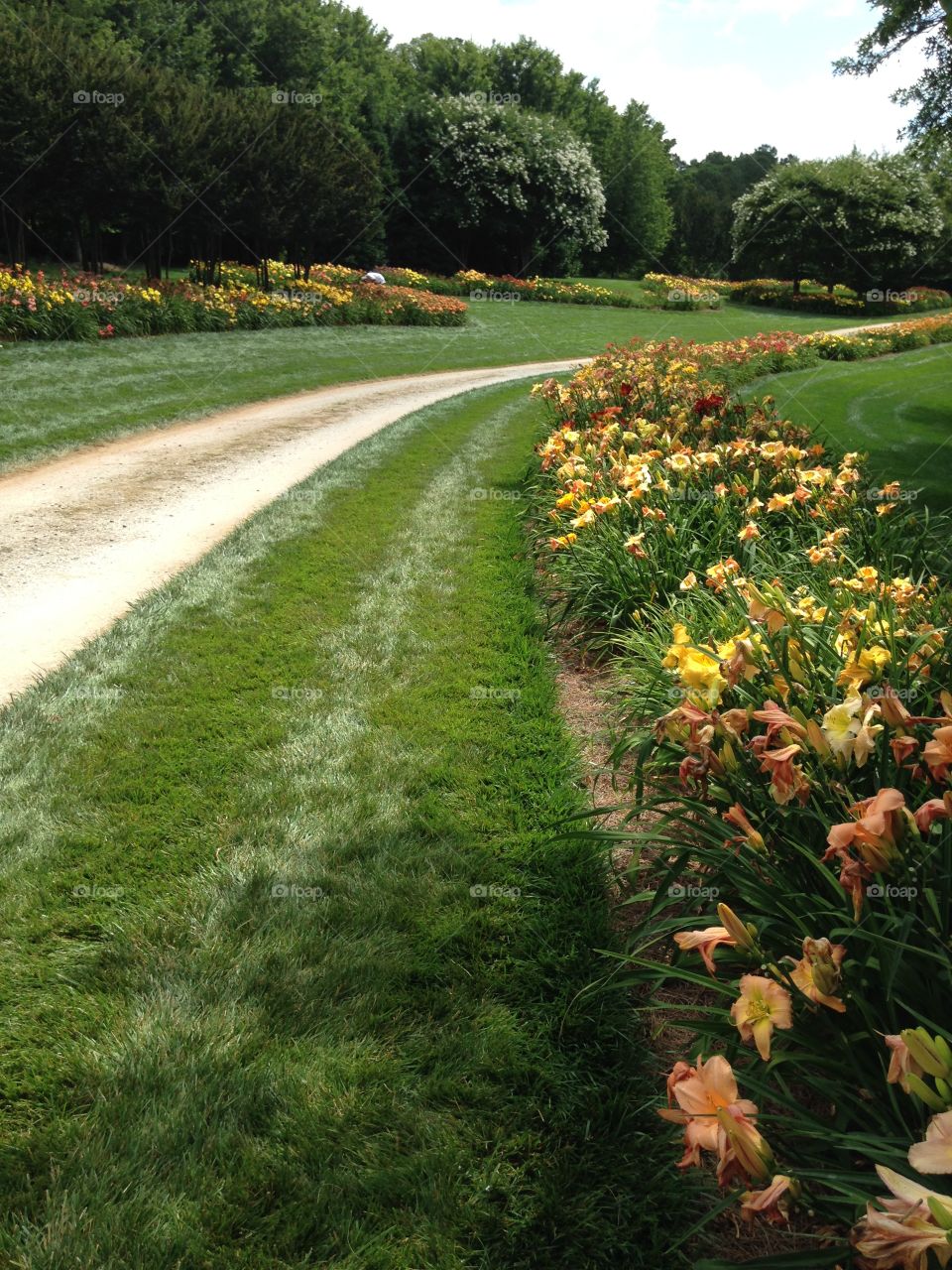 A grass field