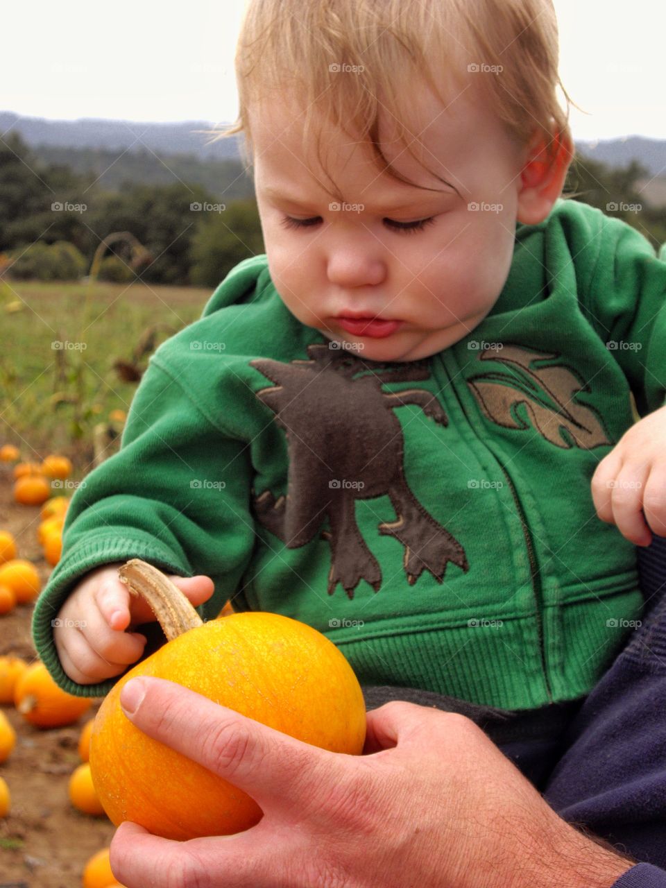 Toddler In A Pumpkin Patch