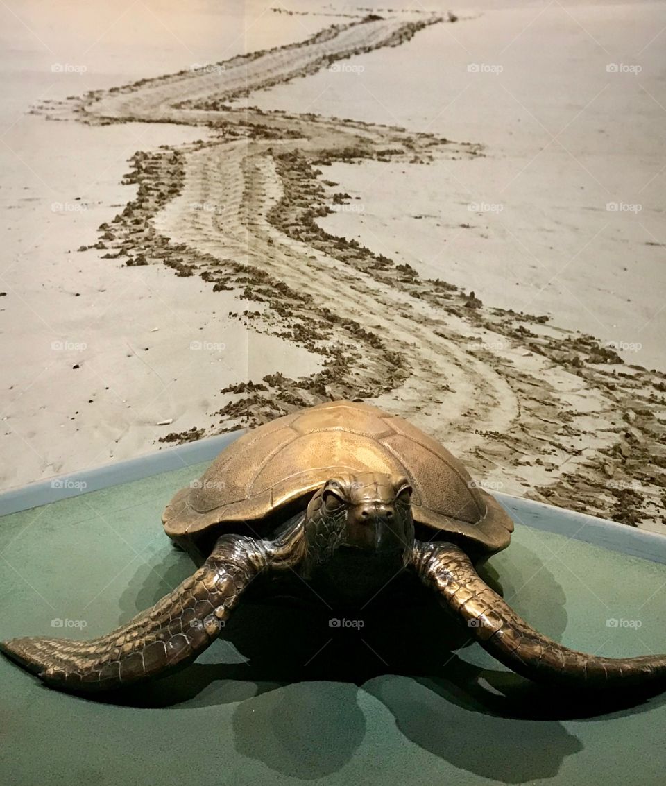 Loggerhead sea turtle statue at the North Carolina Aquarium Fort Fisher