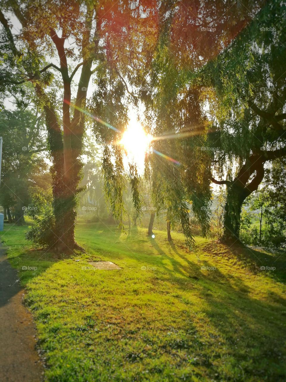 sunrise in the park