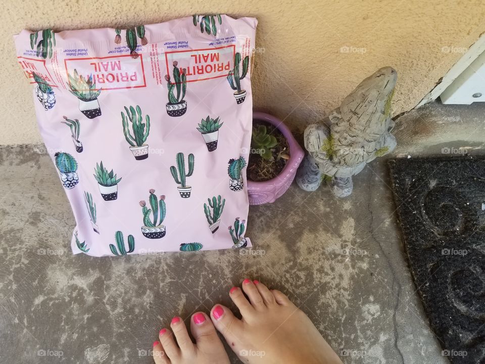 Package Cactus Polymailer Gnome