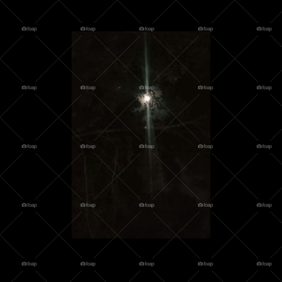 Walking in the Moon Light...