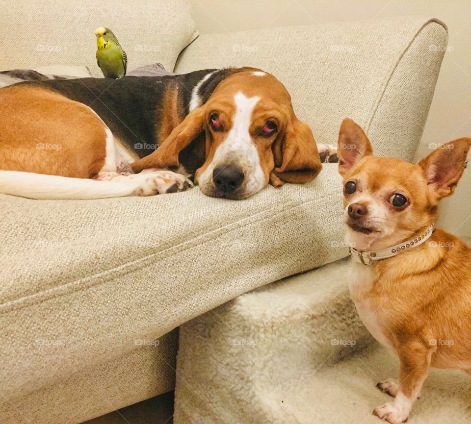 Mmmmm you would think she has a new friend 🙄