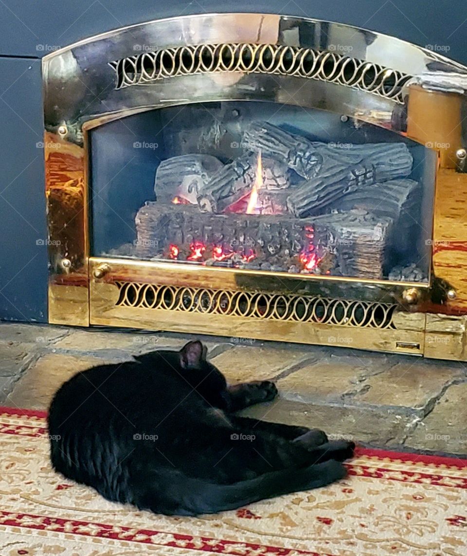 Black cat sleeping near burning fireplace🐾Brass surrounded fireplace.🔥