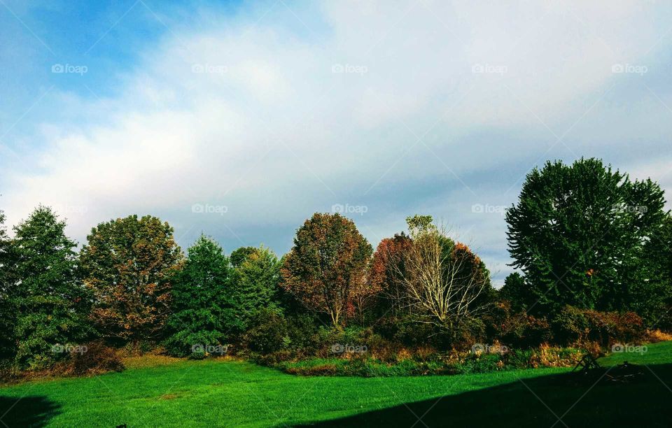 Fall Has Now Arrived In My Backyard