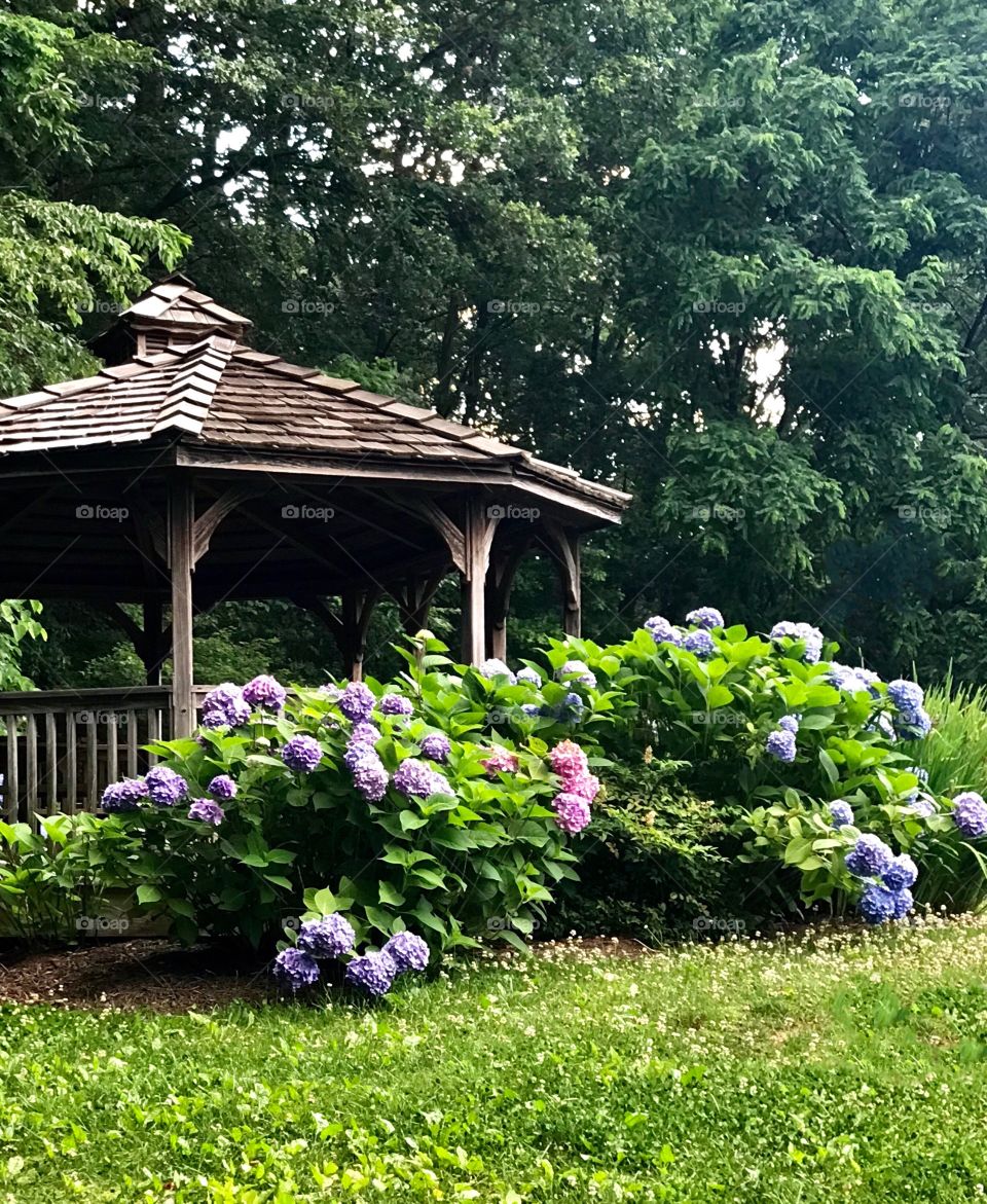 Gazebo adorned with beautiful hydrangea 
