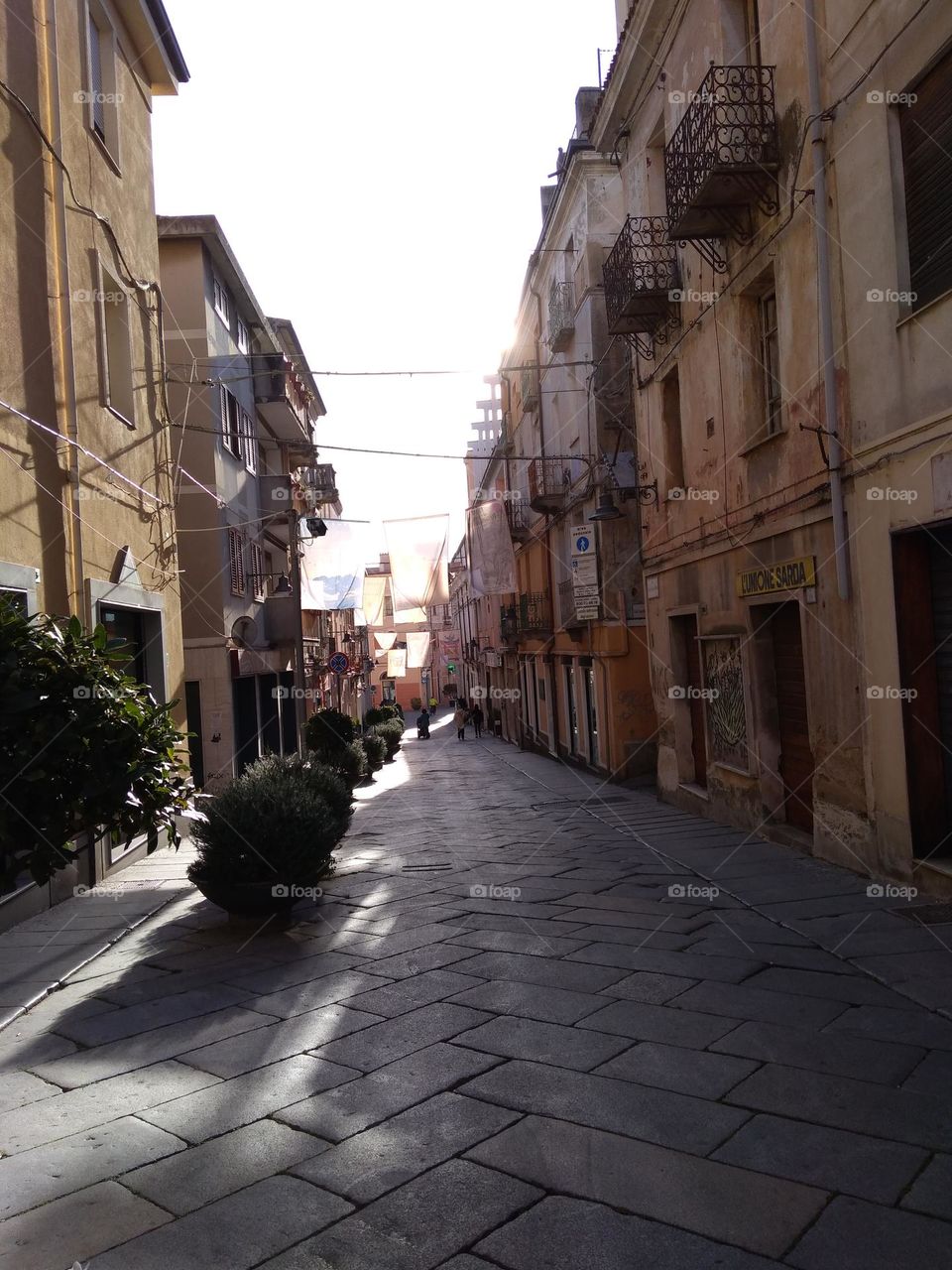 Editors' Choice: Photo of the Week