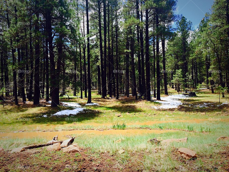 Snow on Stoneman Lake Road