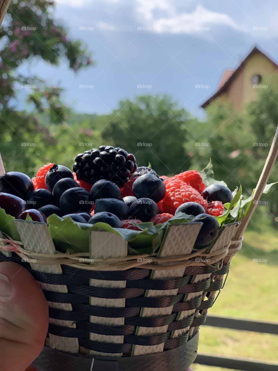Wild berries in a basket