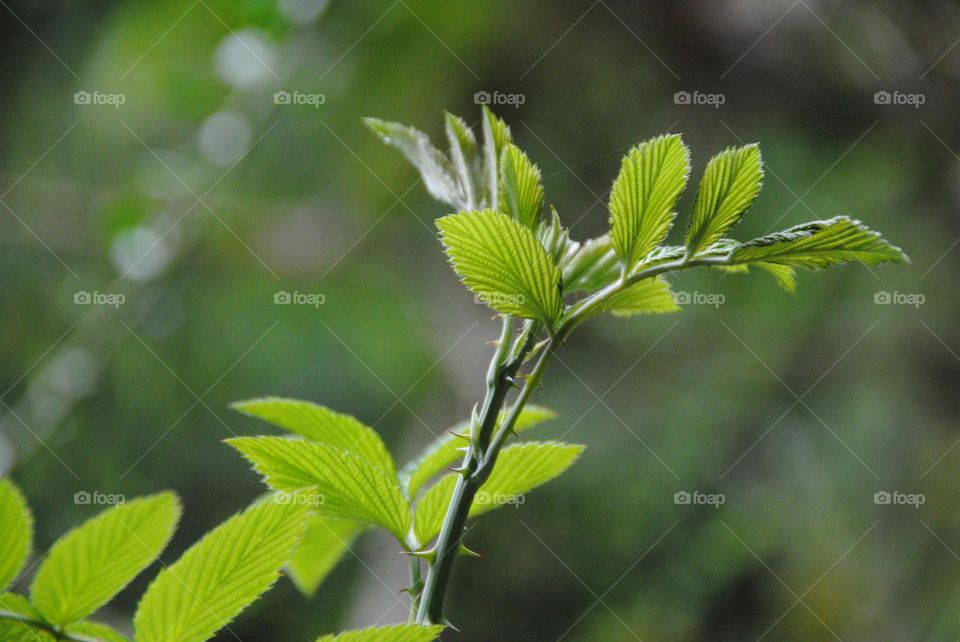 Close to nature 🌱