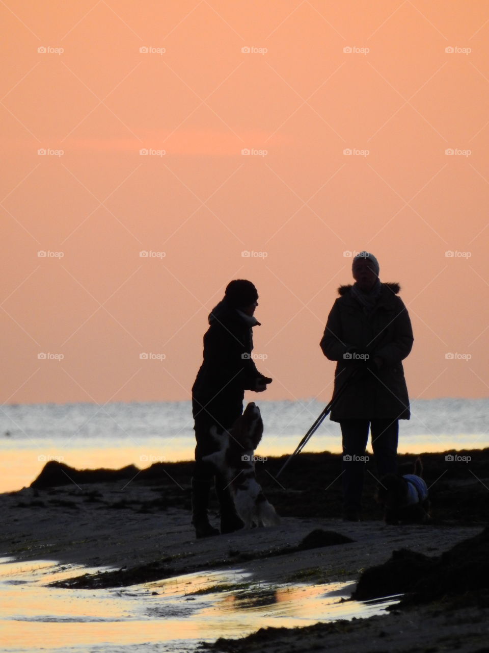 Winter on the beach