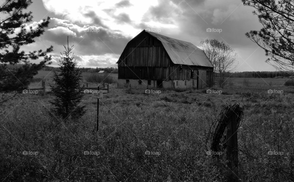 Abandoned Barn