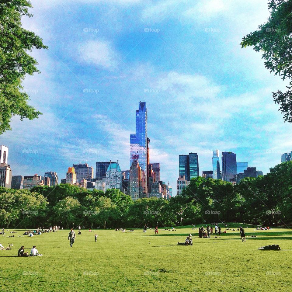 Central Park and the NYC skyline . Nature vs Urban in New York City 