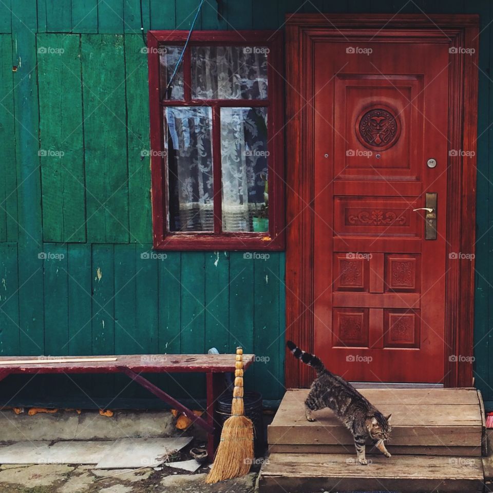 House in the village with cat. April. East part of Ukraine , little village , jumping cat 