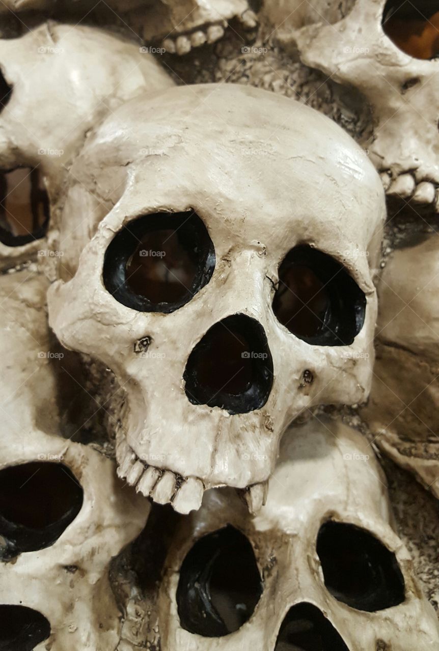 scary skulls
