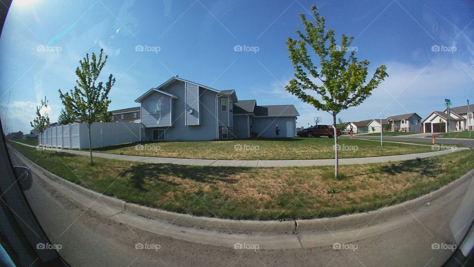 No Person, House, Home, Road, Tree