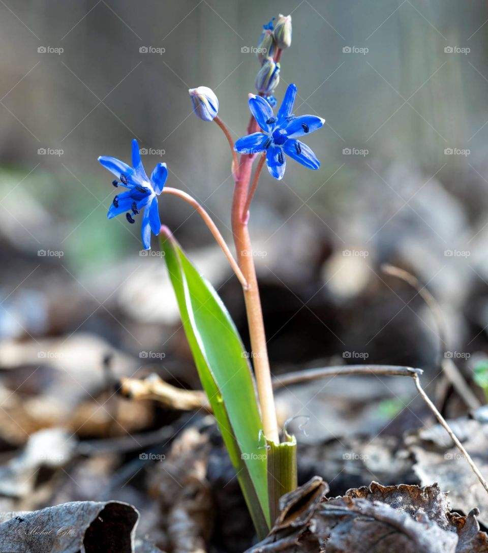 Life returns after winter