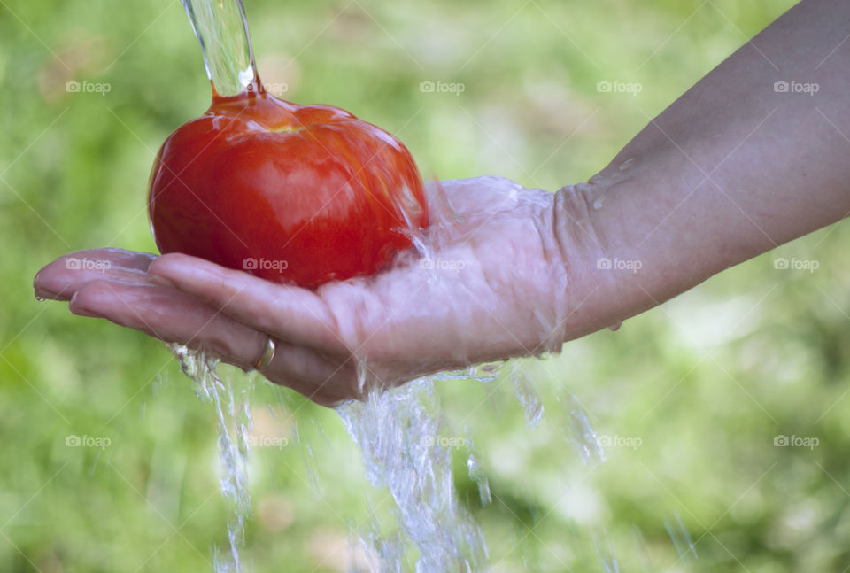 girl holding a tomato