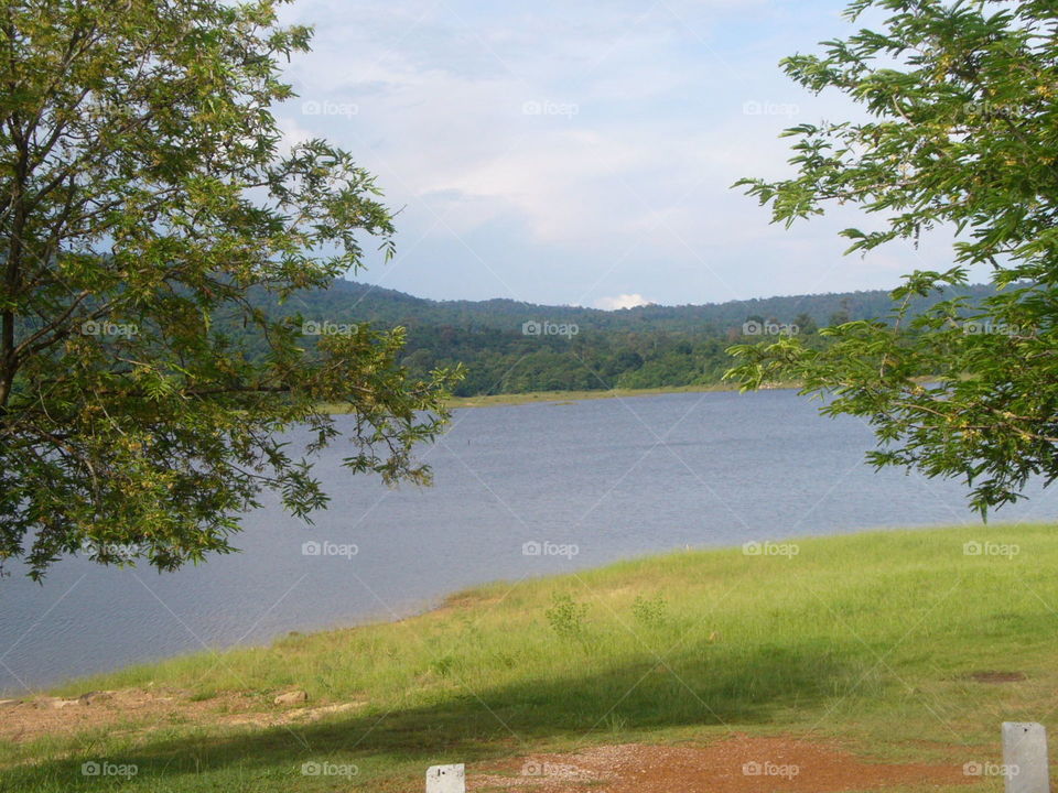Landscape, Tree, Water, No Person, Nature