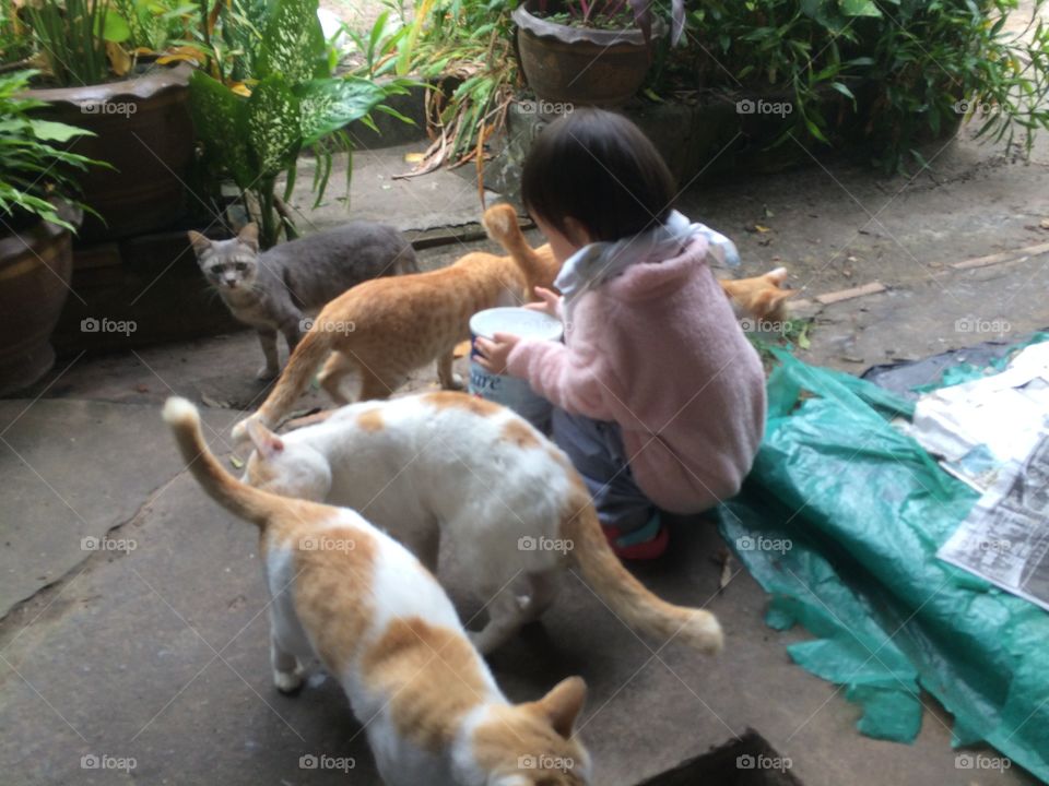 Kid and cats