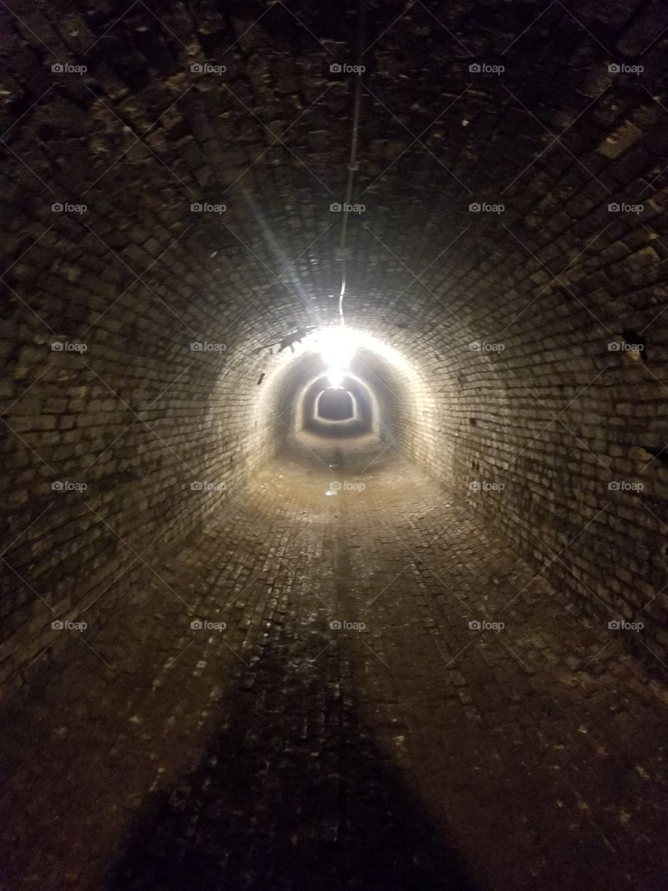 Asylum Tunnel