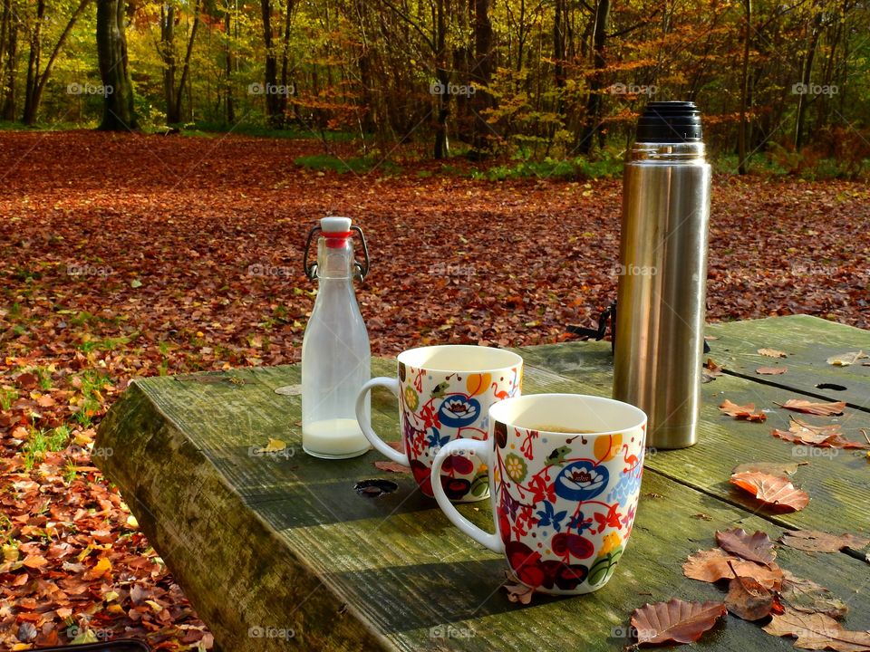 Pic Nic in the forest