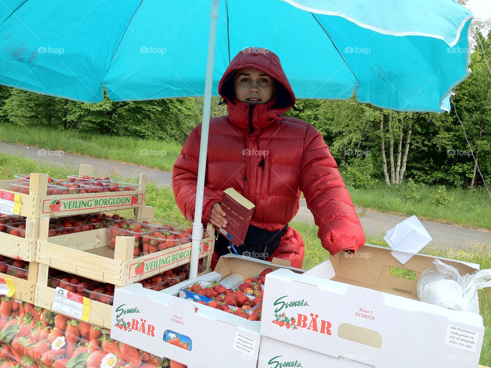 sweden strawberry strawberries market by ingimar_lykke_malmquist_json