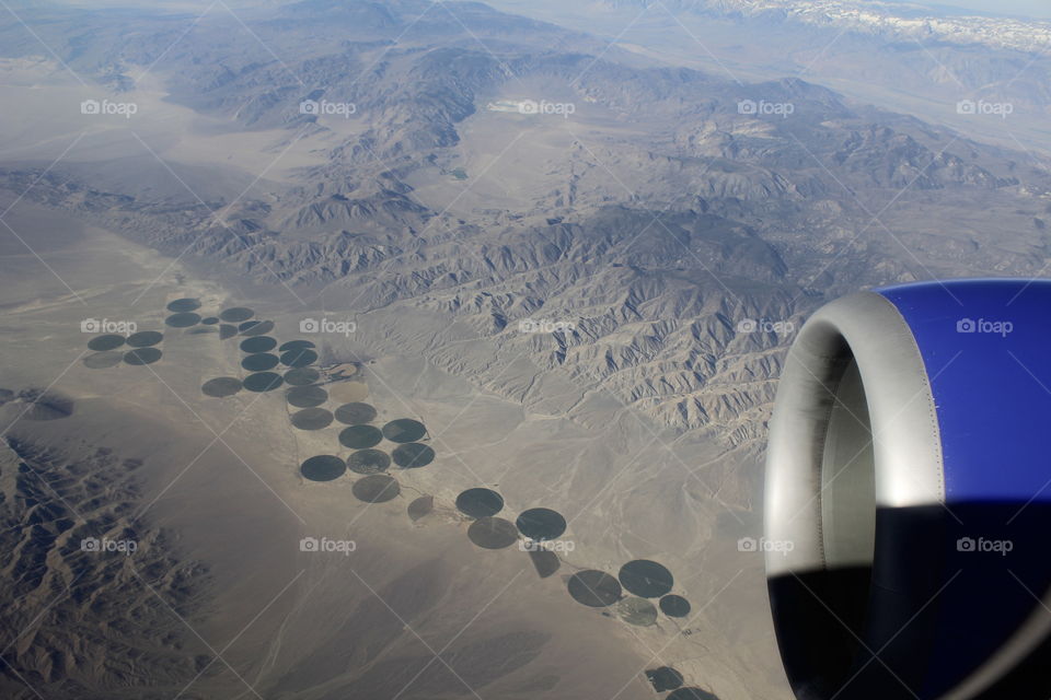 flying high land designs