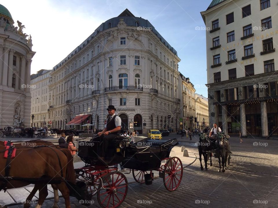 Viena 