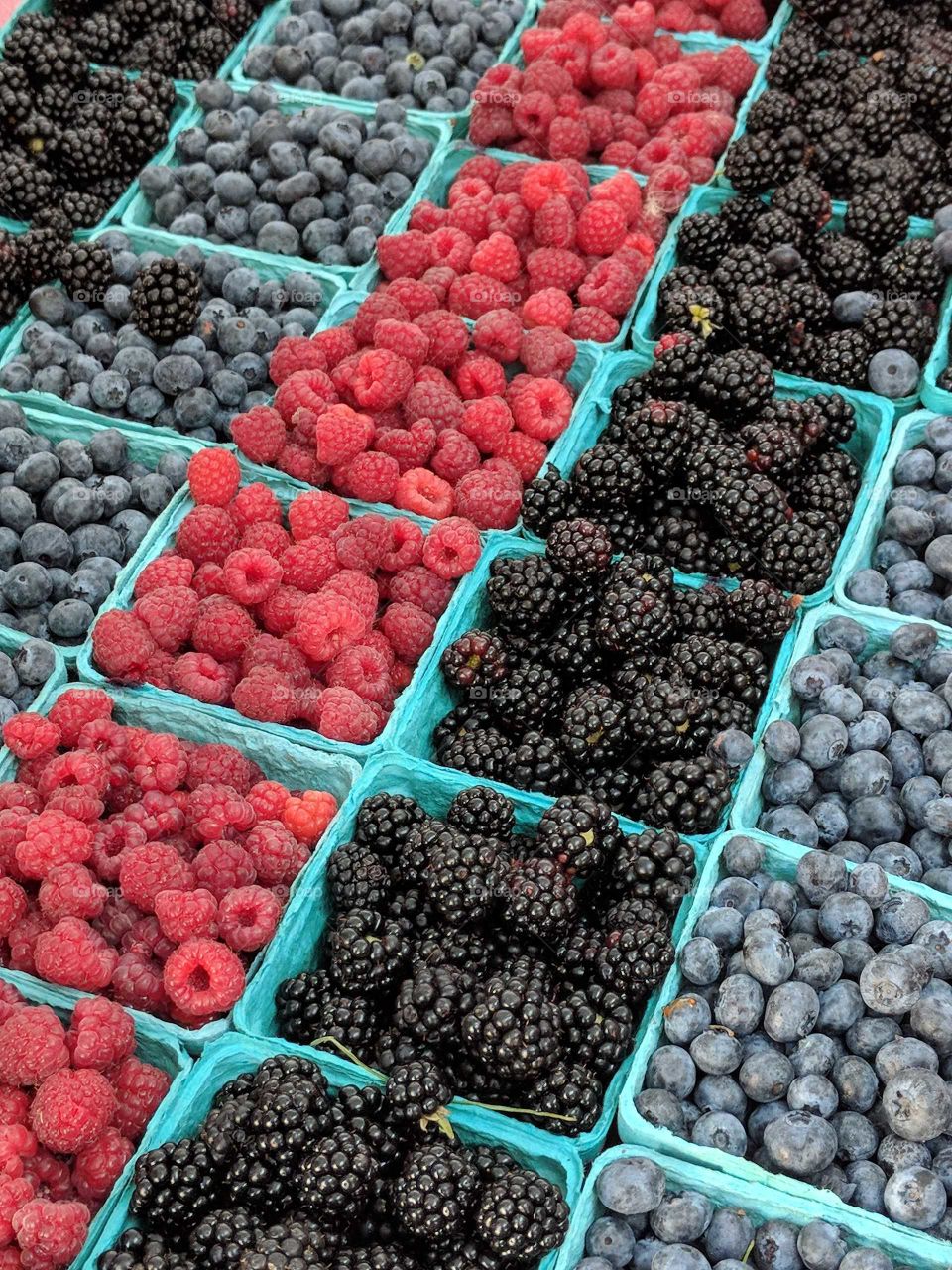 raspberries, blueberries, and blackberries