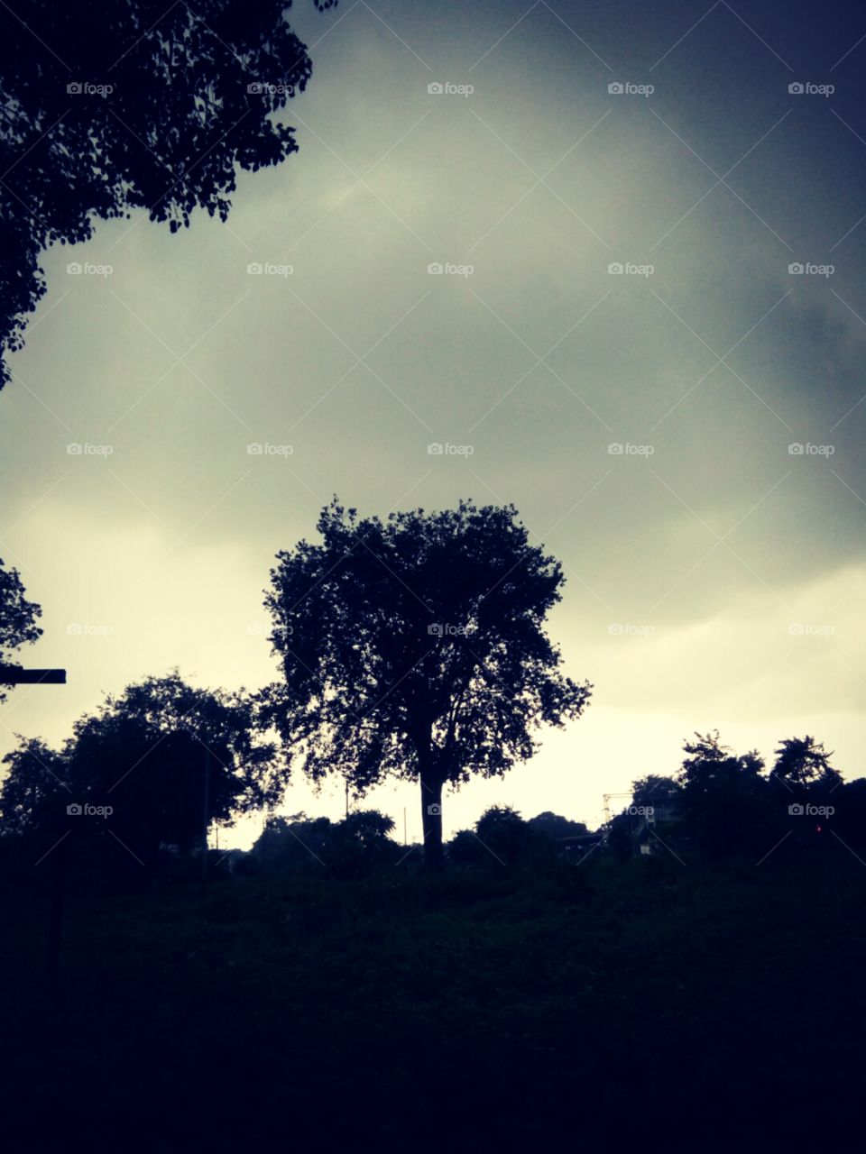 natural picture,Nice photo,Natural photo,Memorable photo,A wonderful photo,A beautiful photo,Amazing photo,Best photo,Real photo,A photo for you,Special photo for special,Very good photo for you,Preserve photo,Wow click photo