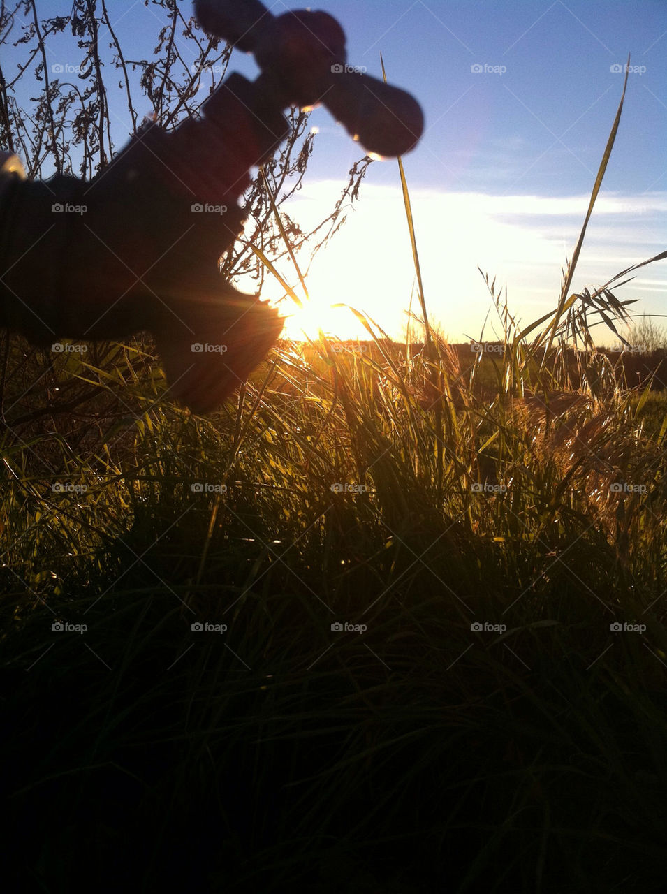 field sun water land by emmanuelgr